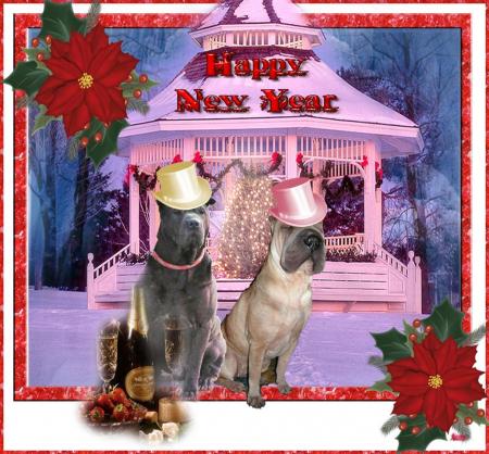 Avant que.............