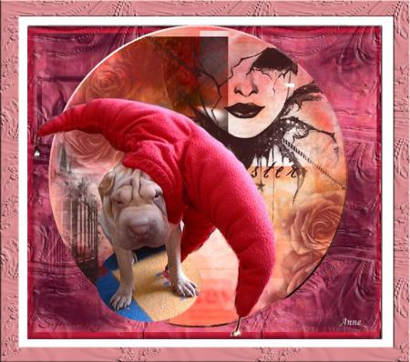 Vive ...................