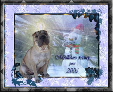 Mon d�but d'ann�e