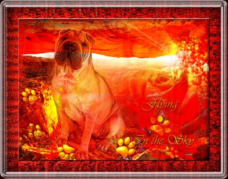 Quelques cr�ations...