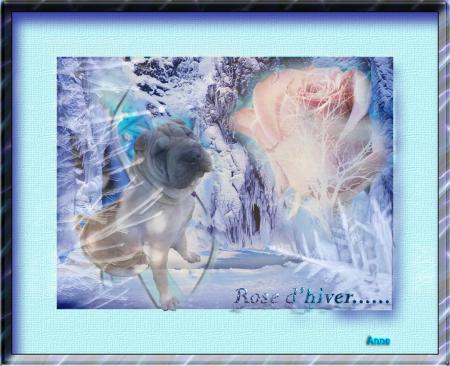 R�v� pour l'hiver....