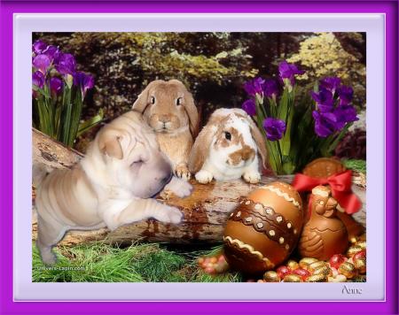 Joyeuse P�ques....