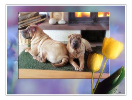 Une journ�e de r�ve........