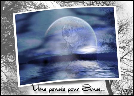 A ta m�moire jolie Sinse ......