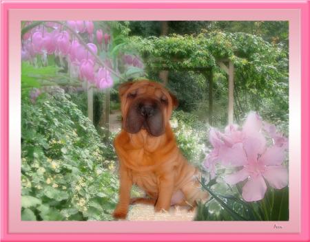 pour le plaisir.....