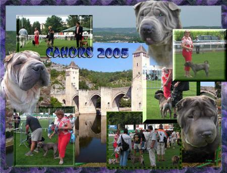 Cahors 2005