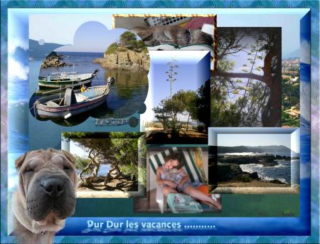 Souvenir de mon court s�jour........