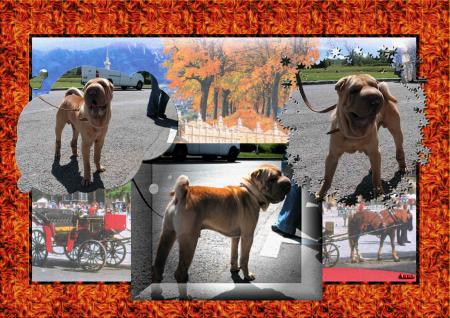 P'tit clin d'oeil........