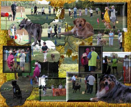 Concours au Club Canin