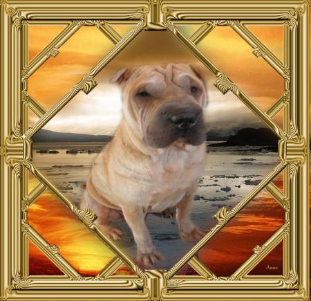 Avec beaucoup de retard